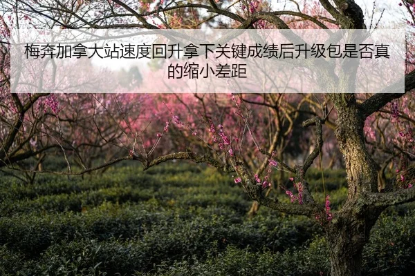 梅奔加拿大站速度回升拿下关键成绩后升级包是否真的缩小差距