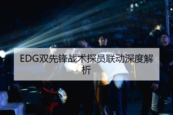 EDG双先锋战术探员联动深度解析