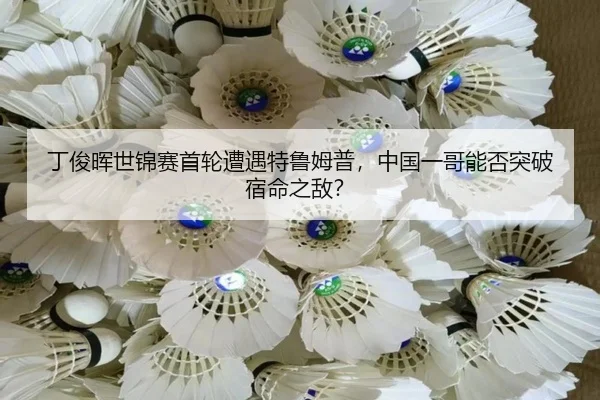 ding-jun-hui-shi-jin-sai-shou-lun-zao-yu-te-lu-mu-pu-zhong-guo-yi-ge-neng-fou-tu-po-su-ming-zhi-di-2-255.jpg